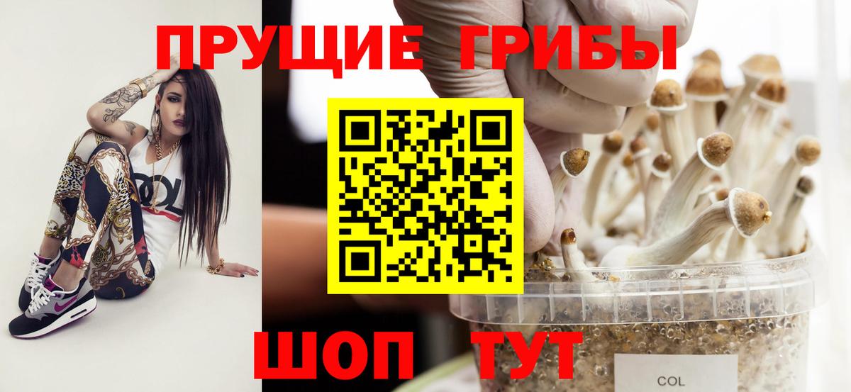 Аргун  Псилоцибиновые грибы мухоморы  Вход с VPN 